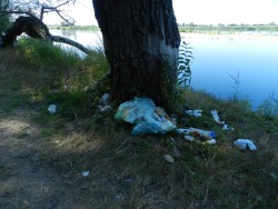 DSCN4328.JPG
