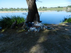 DSCN4329.JPG