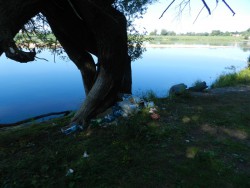 DSCN4331.JPG