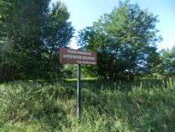 DSCN4333.JPG