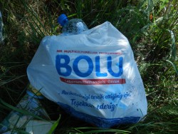 DSCN4336.JPG