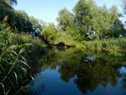 DSCN4458.JPG
