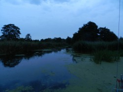 DSCN4611.JPG