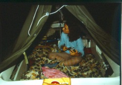skanuj0006.jpg
