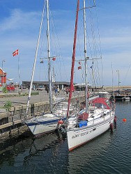IMG_0172.JPG