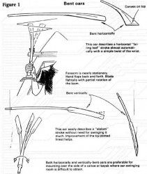 sculling2-2a.jpg