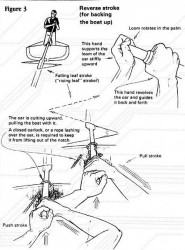 sculling1-3a.jpg