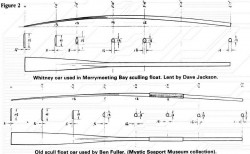 sculling2-3a.jpg
