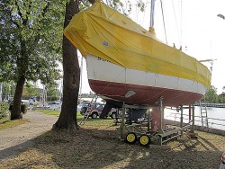 IMG_9783.JPG