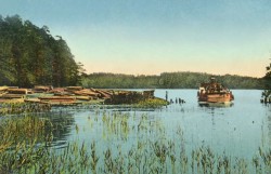 Spław drewna na jeziorze Guzianka Wielka, początek XX wieku.jpg