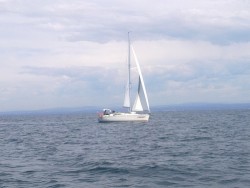 foxbat00042.jpg