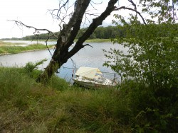 DSCN4770.JPG