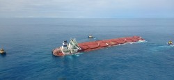 stellar_banner_longer_800.jpg