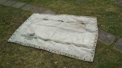 IMG_20200301_113100.jpg
