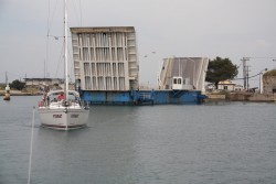 IMG_1040s.jpg