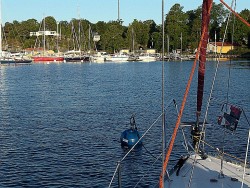 Boja klubowa SXK01.jpg