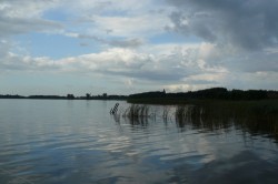 Słodkowodnie.jpg