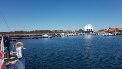 20200521_125419_resized_1.jpg