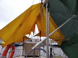 IMG_20200611_094410.jpg