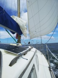 IMG_20200701_123848.jpg