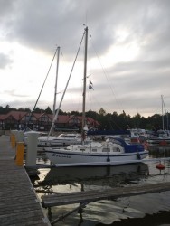 IMG_20200701_200637.jpg
