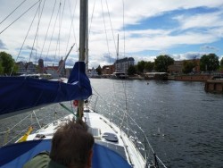 IMG_20200711_160924.jpg