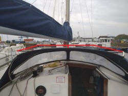 IMG_20200803_070042.jpg