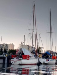 IMG_20200716_205111.jpg