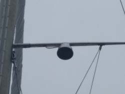 IMG_20200822_102716.jpg