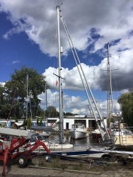 E813AF06-DE6B-4CD9-B6D0-A11958668D1C.jpeg