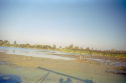 01_16.jpg