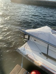 IMG_0467.jpeg