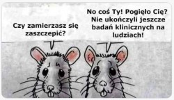 myszy.jpg