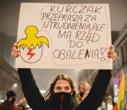 kurczak.jpg