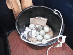 ente1.jpg