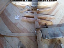 IMG_20210704_190333.jpg