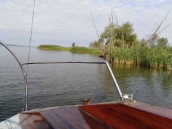 IMG_20210720_075157.jpg