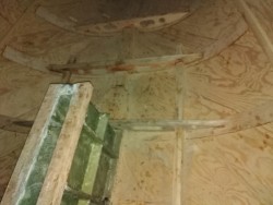 IMG_20211114_155639.jpg