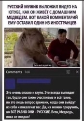 misiek.jpg