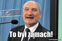 Epnk9kqTURBXy9kODI5Njk5NmZjNzMxZTI3NmI2NjY0YTRhNDBkMTg5YS5qcGVnkZMCzQNIzQIvgqEwAaExAQ.jpeg