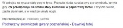 po_poznansku.jpg
