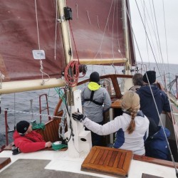 thumb_11226_cruise_full.jpeg