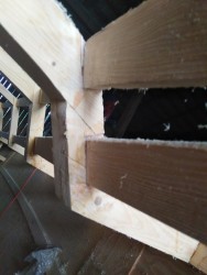 IMG_20220825_184814.jpg
