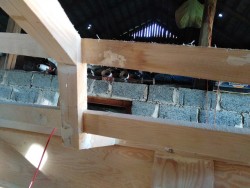 IMG_20220924_083710.jpg
