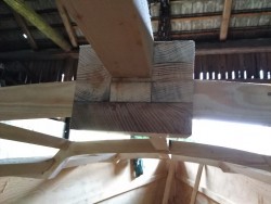 IMG_20220917_125110.jpg