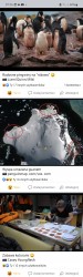 Screenshot_20221107_072650_Facebook.jpg