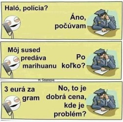 halo policja.jpg