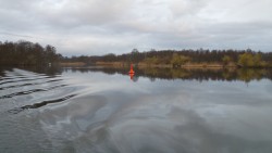 20230401_070433.jpg