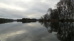 20230401_072921.jpg