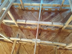 IMG_20230615_180935.jpg